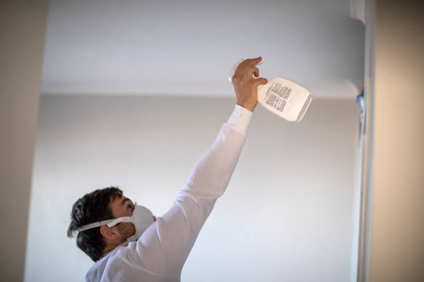 Best Post-Flood Mold Remediation in Byhalia, MS